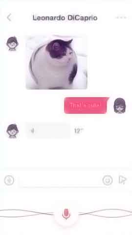 cc攻击免费网页版软件程序维护界面